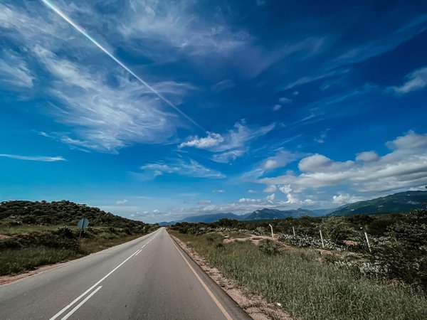 Wat zijn de milieueffecten van verschillende motortypen?
